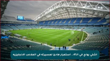 آشلي يونج في الـ41.. استمرار هادئ لمسيرته في الملاعب الإنجليزية